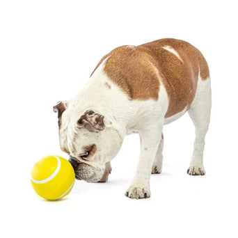 GURU GURU Giggling Tennis Ball Dog Toy