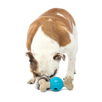 GURU GURU Spin & Chew Bone Dog Toy