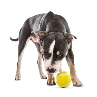 GURU GURU Tennis Treat Ball Dog Toy