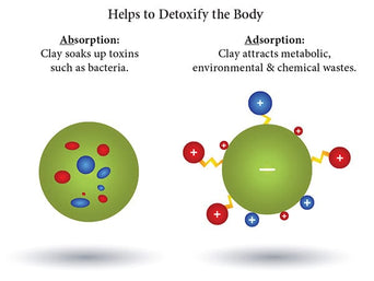 Hagen Hari Clay-Cal for Birds