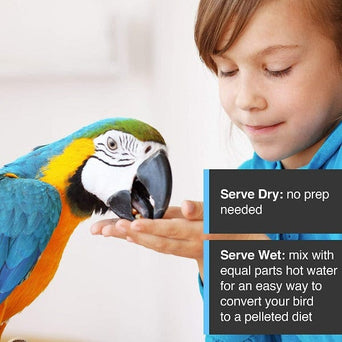 Hagen Tropimix Egg Food Blend