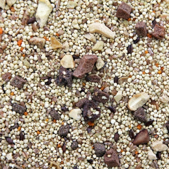 Higgins Premium Pet Foods Higgins Worldly Cuisines African Sunset Bird Food Appetizer