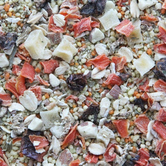 Higgins Premium Pet Foods Higgins Worldly Cuisines Tuscan Dream Bird Food Appetizer