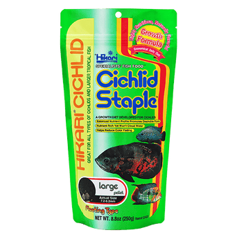 Hikari Hikari Cichlid Staple Floating Pellet