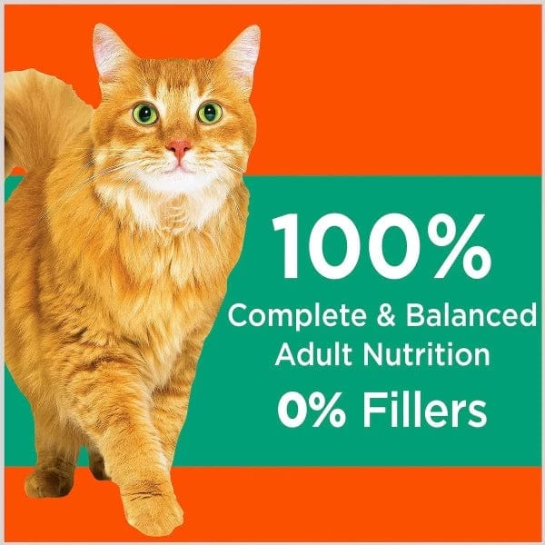 IAMS Proactive Health Adult Hairball Care Dry Cat Food – Petland