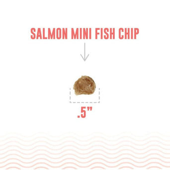 Icelandic+ Icelandic+ Salmon Mini Fish Chips Dog Treats
