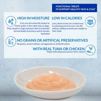 Inaba Foods Inc. Inaba Churu Skin & Coat Tuna Recipe Creamy Purée Cat Treat