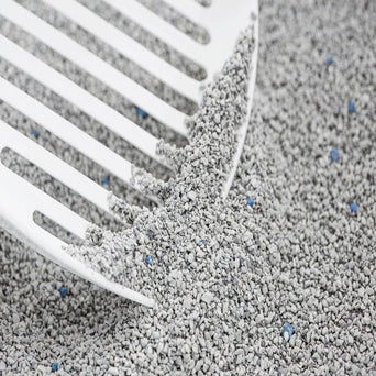 Intersand Intersand Odourlock Multi-Cat Clumping Cat Litter