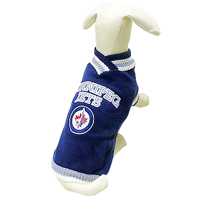 Jets hot sale dog jersey
