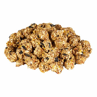 Kaytee Kaytee Granola Bites with Superfoods Blueberry & Flax