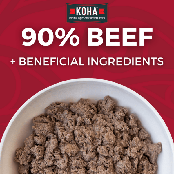 KOHA LID Beef Entrée Canned Dog Food Petland Canada