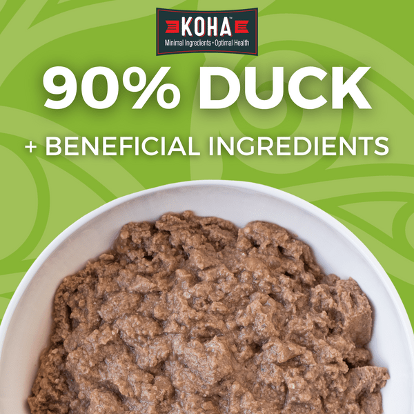 KOHA LID Duck Entrée Canned Dog Food Petland Canada
