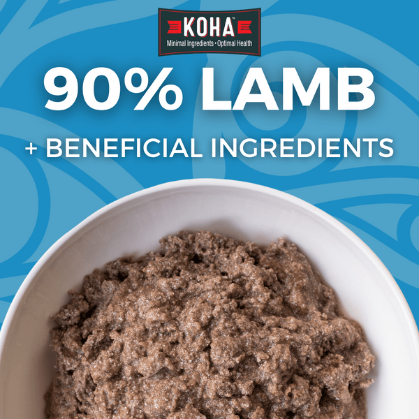 KOHA LID Lamb Entrée Canned Dog Food Petland Canada