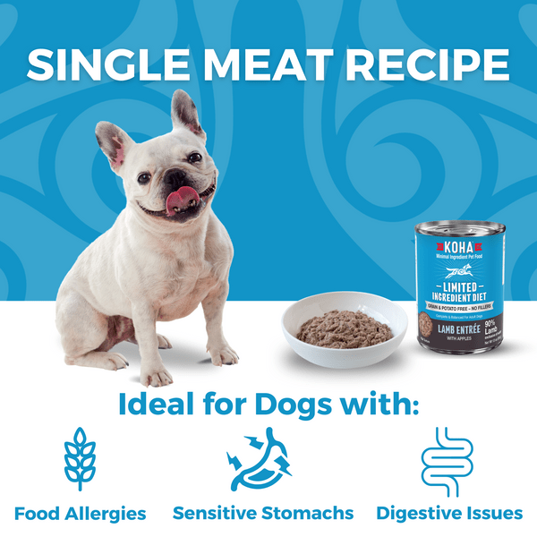 Lamb dog hot sale food for allergies
