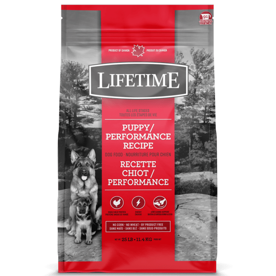 Lifetime dry dog food