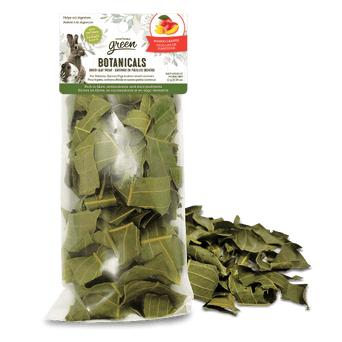Living World Living World Green Botanicals Dried Mango Leaves Treat