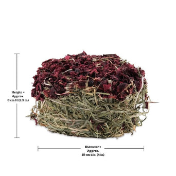 Living World Living World Green Botanicals Hay Cake with Beet