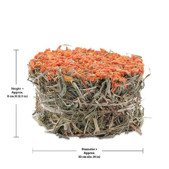 Living World Living World Green Botanicals Hay Cake with Carrot