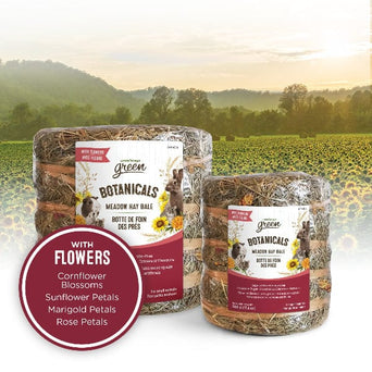 Living World Living World Green Botanicals Meadow Hay Bale – with Flowers