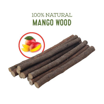 Living World Living World Green Chews - Mango Wood Sticks