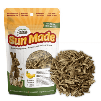 Living World Living World Green Sun Made Dried Banana Treat