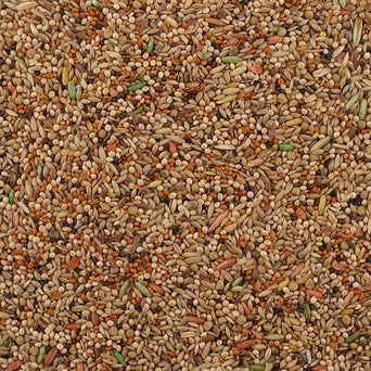 Living World Living World Premium Mix for Budgies