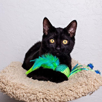 Multipet Multipet Mesh Ball with Feathers Cat Toy