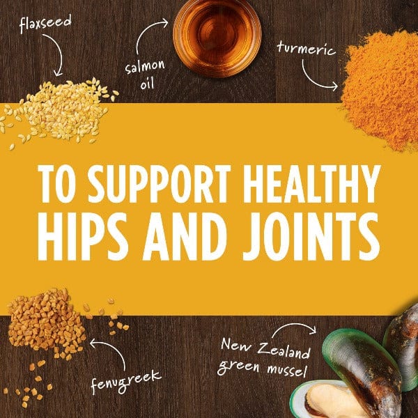 Instinct Raw Boost Mixers Mobility Support Dog Food Topper, 5.5oz Petland Canada