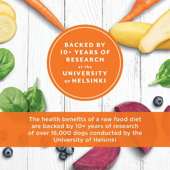 Nature's Variety Instinct Raw Longevity Beef Recipe 100% Freeze-Dried Adult 7+ Dog Food