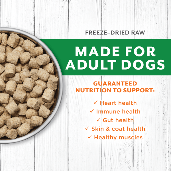 Dog food made to order best sale