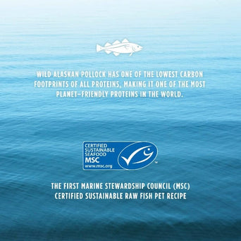 Nature's Variety Instinct Raw Longevity Pollock Recipe 100% Freeze Dried Dog Food