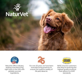NaturVet NaturVet All-In-One Soft Chews For Dogs