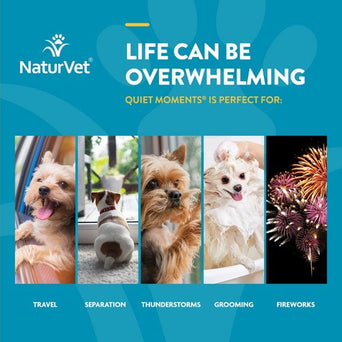 NaturVet Naturvet Quiet Moments Calming Aid Plus Melatonin Soft Chews For Dogs