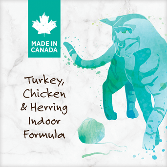 Nutrience Nutrience Grain Free Turkey, Chicken and Duck Indoor Formula Dry Cat Food, 5kg