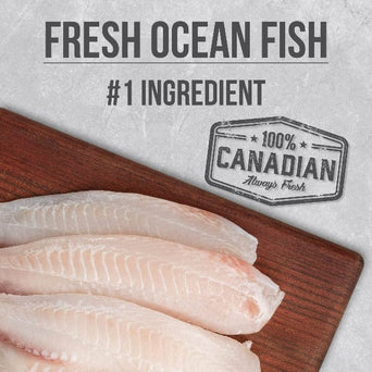 Nutrience Nutrience Infusion Healthy Adult Indoor Fish Recipe Dry Cat Food