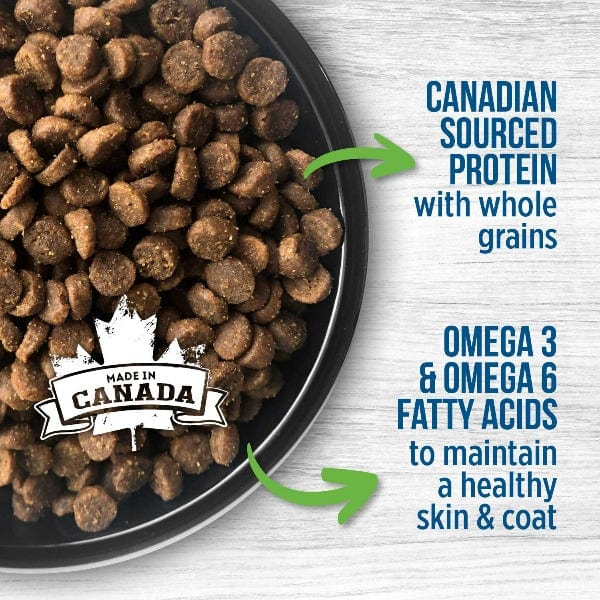 Nutrience Original Kitten Dry Cat Food, 2.5kg Petland Canada