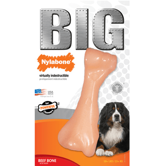 Nylabone Nylabone Durachew Big Chew; Beef Bone Original