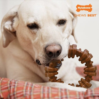 Nylabone Nylabone Power Chew Textured Dog Ring Toy