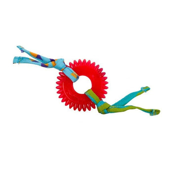 Outward Hound Petstages Dental Kitty Chew Wheel Cat Toy