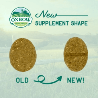 Oxbow Oxbow Natural Science Digestive Support