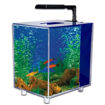 Penn Plax Prism Blue Desktop Aquarium