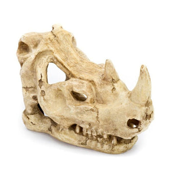 Penn Plax Resin Rhino Skull