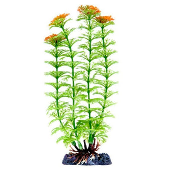 Penn Plax Sinker Plant Ambulia Medium