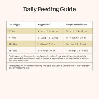 Petcurean Now Fresh Fish Recipe Adult Dry Cat Food