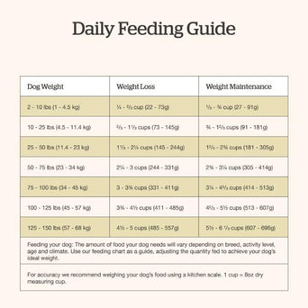 Petcurean Now Fresh Good Gravy Beef Recipe Senior Dry Dog Food