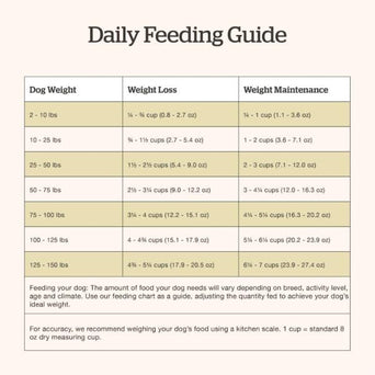 Petcurean Now Fresh Turkey, Salmon & Duck Recipe Adult Dry Dog Food