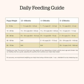 Petcurean Now Fresh Turkey, Salmon & Duck Recipe Dry Puppy Food, 22lb