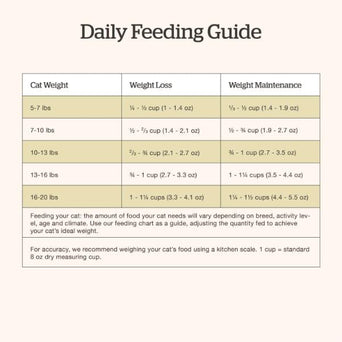 Petcurean Now Fresh Turkey, Salmon & Duck Recipe Senior Dry Cat Food