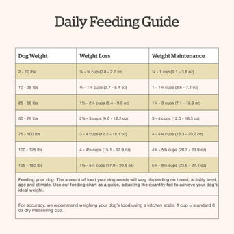 Petcurean Now Fresh Turkey, Salmon & Duck Recipe Senior Dry Dog Food, 22lb