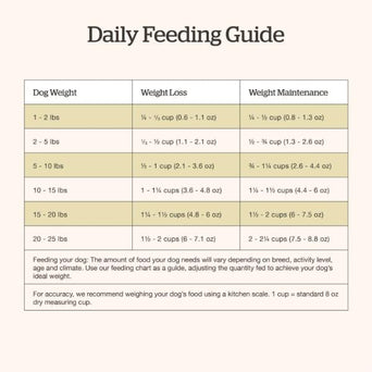 Petcurean Now Fresh Turkey, Salmon & Duck Recipe Small Breed Adult Dry Dog Food